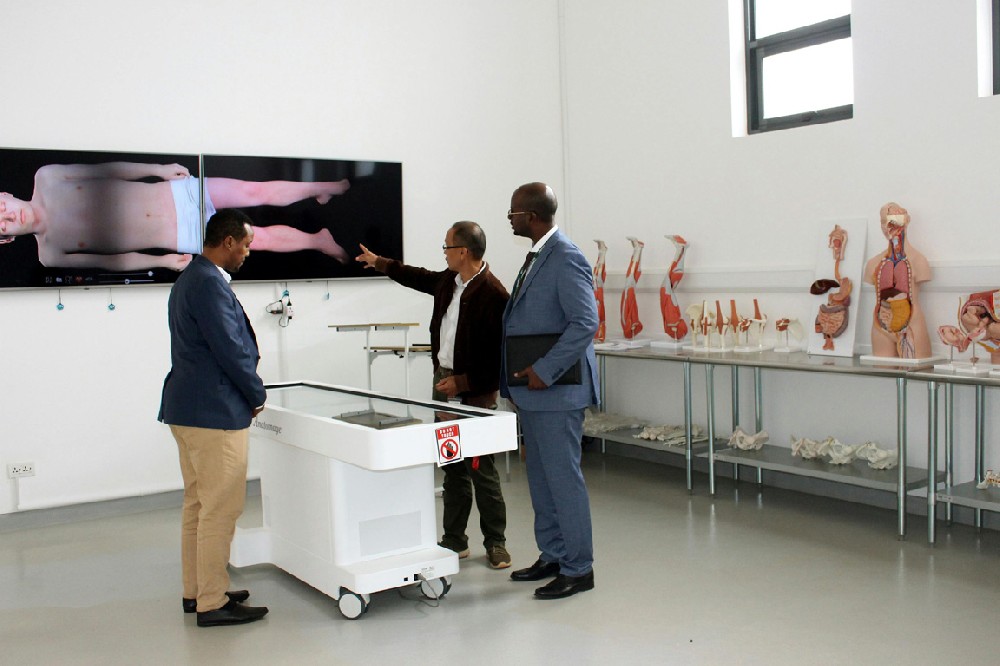 医学模型厂家推荐